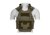 Templar Gear CIBV Plate Carrier Ranger Green M