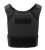 Warrior Covert Plate Carrier Black