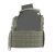 Warrior DCS Plate Carrier Base Ranger Green L