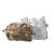 Spiritus CCS Pouch - Multicam