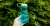Nalgene Bottle 0,5 l WM Cerulean Sustain