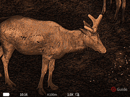 Guide TE210MS Thermal Monocular