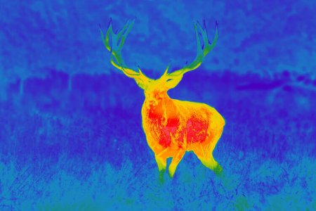 GPO SPECTRA TI35 THERMAL