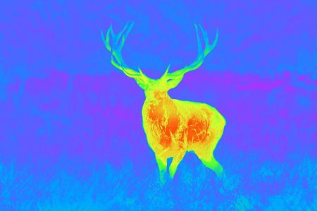 GPO SPECTRA TI35 THERMAL