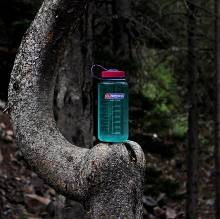 Nalgene Bottle 1 l WM Aubergine Sustain